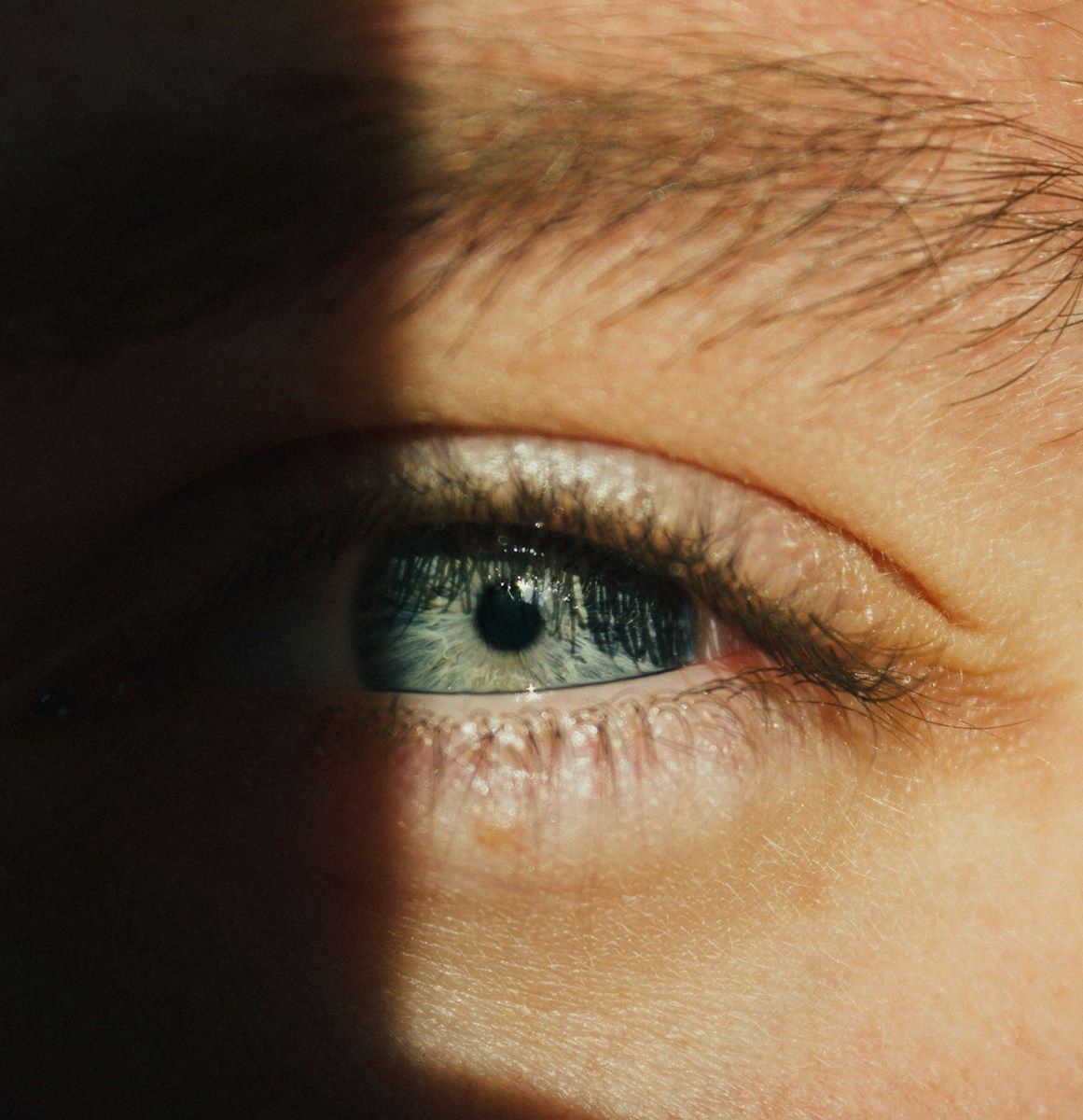 Quand l’intelligence artificielle rencontre l’expertise 